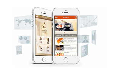 天津APP開(kāi)發(fā)定制與模板的比較