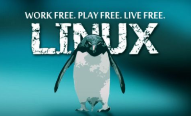 新手想學好Linux系統需要掌握哪些內容？
